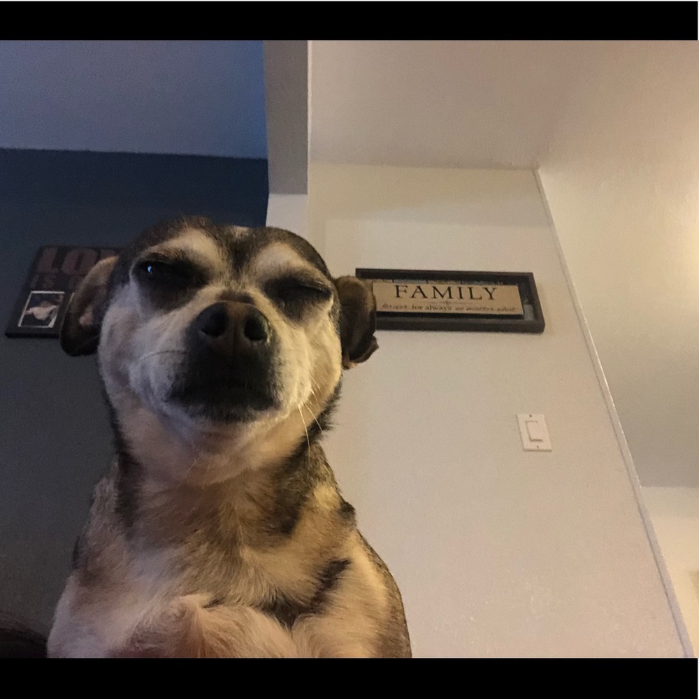 Meet your Posher, Avi